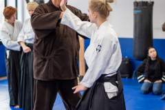 Steven Seagal Italia