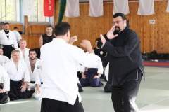 Steven Seagal Italia